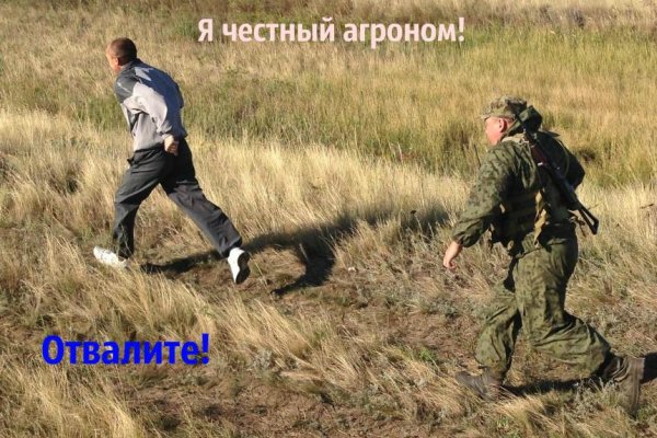 Кракен актуальная ссылка на сегодня
