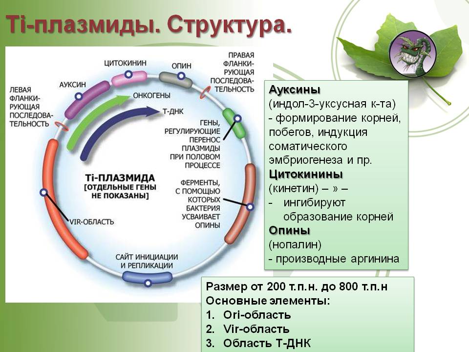 Кракен невозможно зарегистрировать пользователя