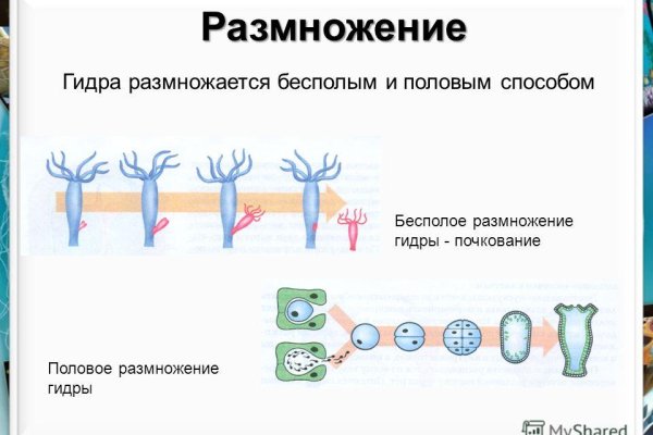 Кракен ссылка на тор