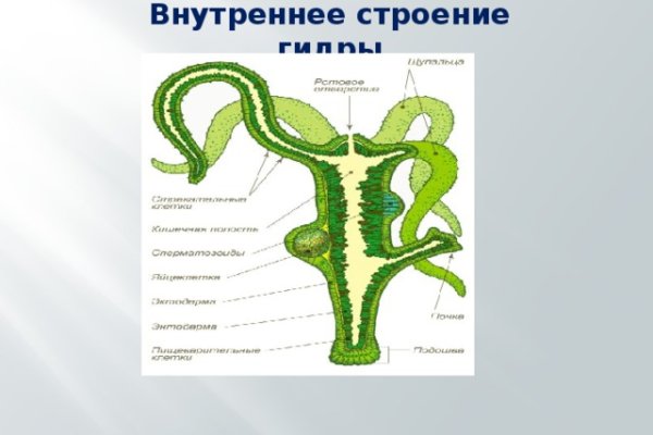 Кракен как зайти