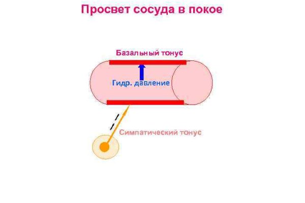 Кракен работает