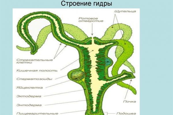 Кракен сайт 1kraken me официальный