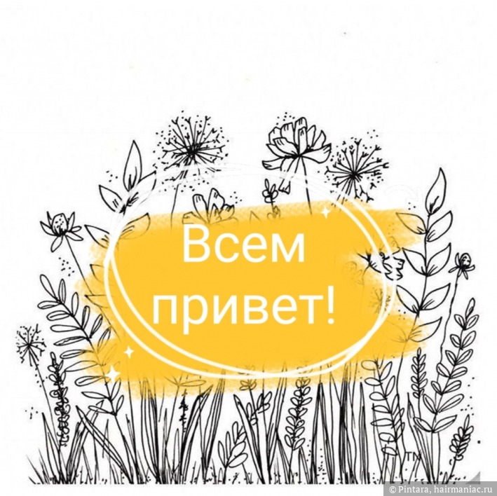 Ссылка на кракен в браузере