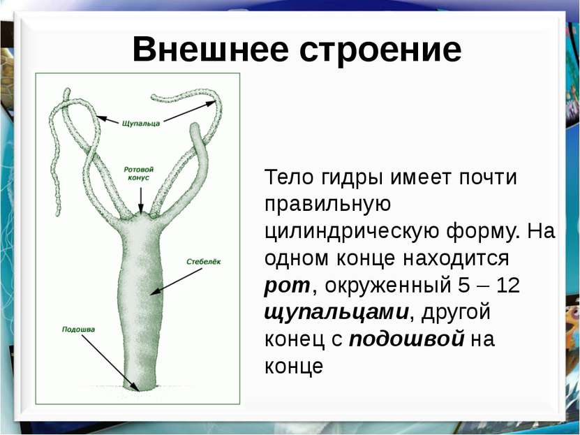 2krn at официальный